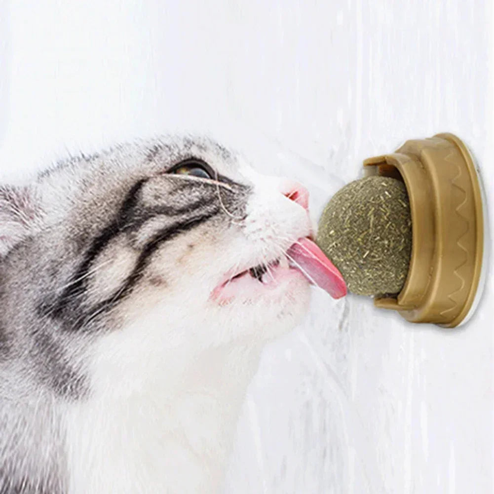 Smartlyo pet catnip toys with colorful fabric and catnip filling, designed to entertain and stimulate cats during play.