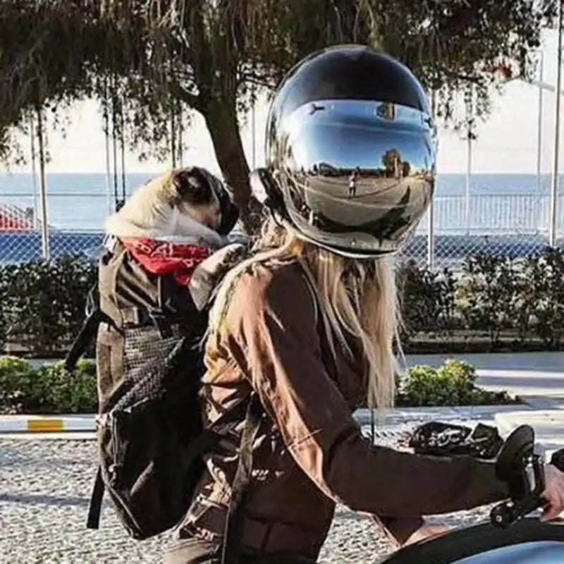 Smartlyo nylon dog carrier backpack with adjustable straps and mesh panels for comfortable pet transport.