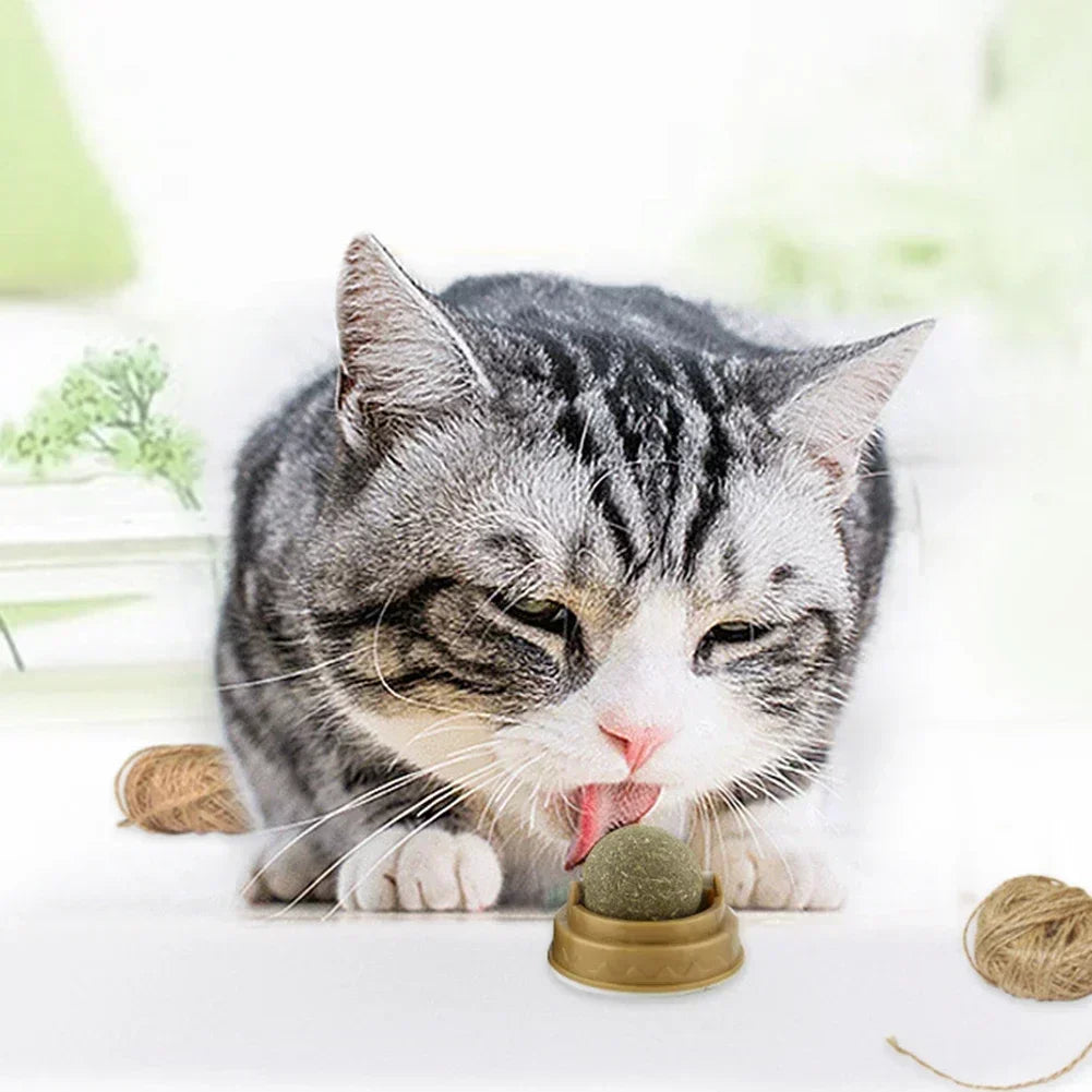 Smartlyo pet catnip toys featuring colorful fabric and plush designs for entertaining and stimulating cats.