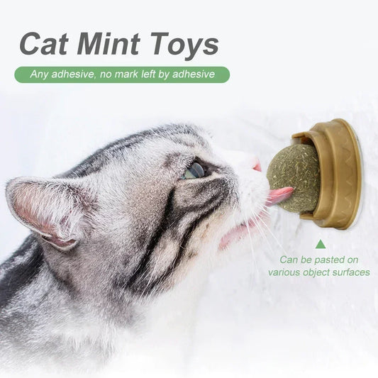 Pet Catnip Toys