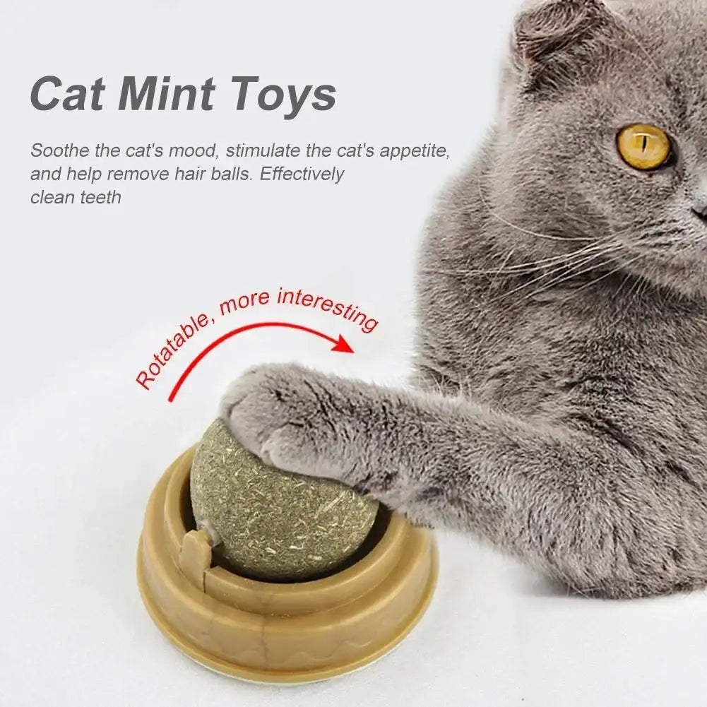 Smartlyo pet catnip toys with colorful plush design, perfect for entertaining and stimulating cats.