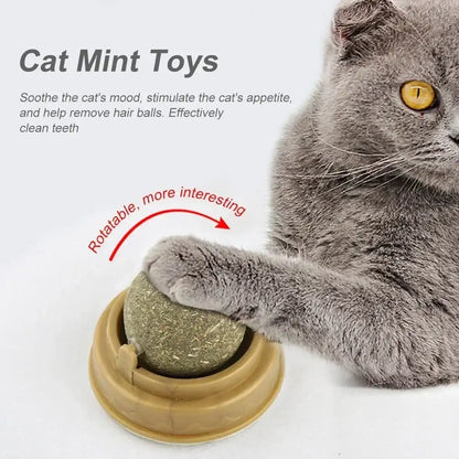 Smartlyo pet catnip toys with colorful plush design, perfect for entertaining and stimulating cats.