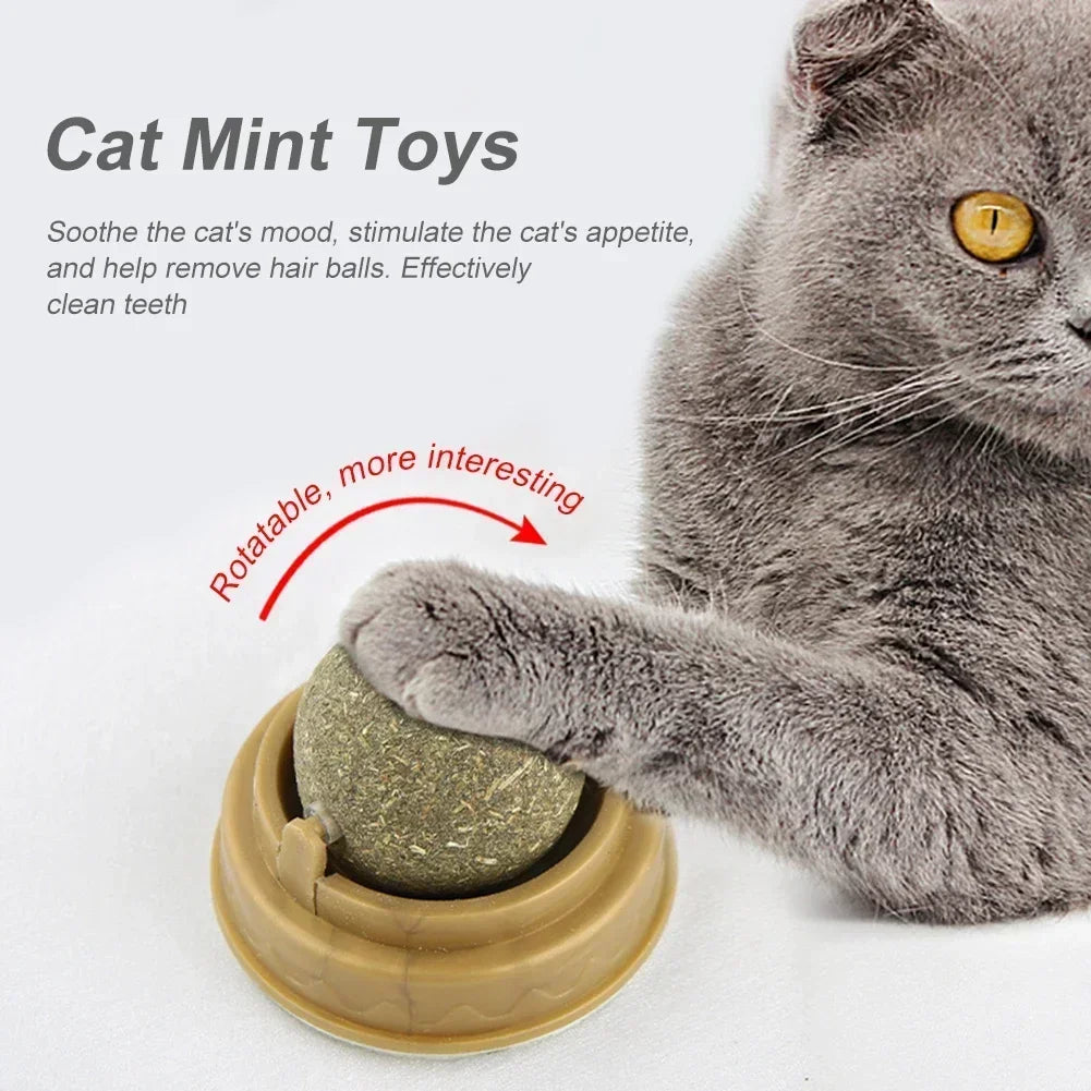 Pet Catnip Toys