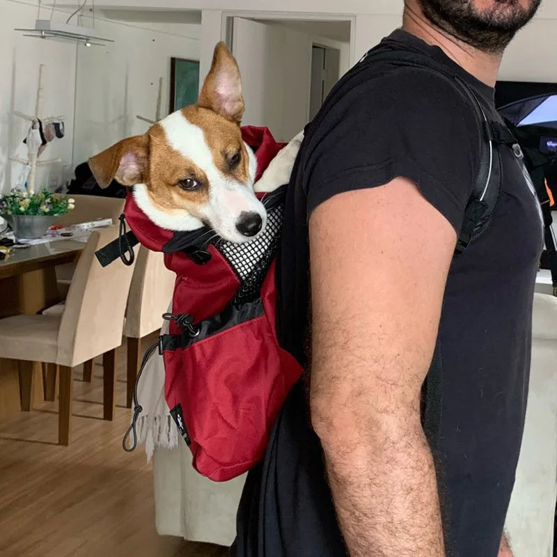 Strong Nylon Dog Carrier Backpack