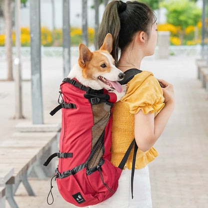 Strong Nylon Dog Carrier Backpack