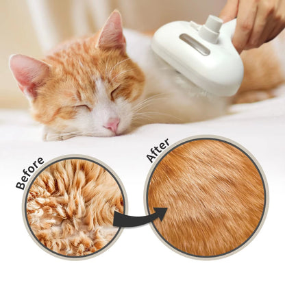 3 in 1 Steam Cat Brush Self-Cleaning Grooming Tool